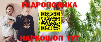 МДПВ Волжск
