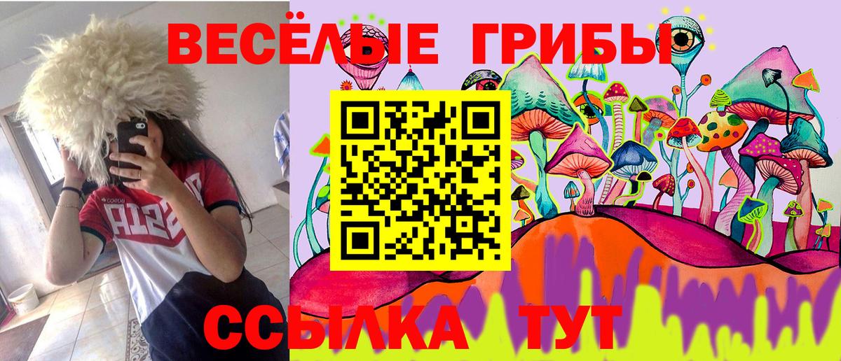 Псилоцибиновые грибы прущие грибы  Вход с VPN  Псилоцибиновые грибы мухоморы  Нефтекумск 